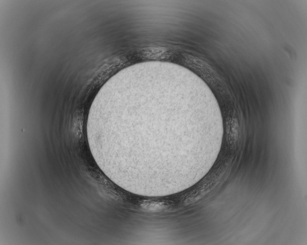 X0000111920602200909071219