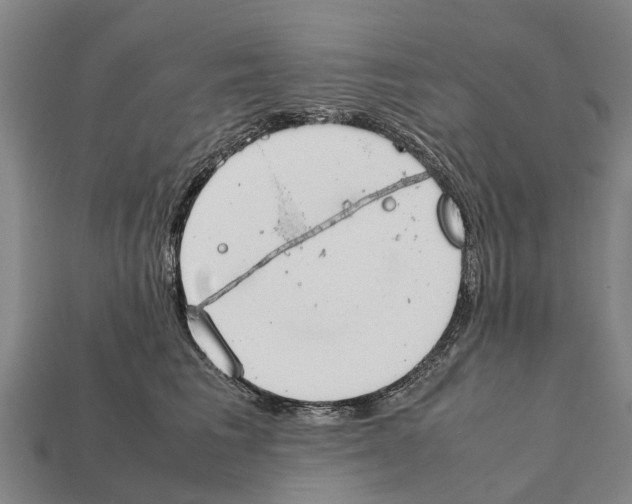 X0000111920613200909071219