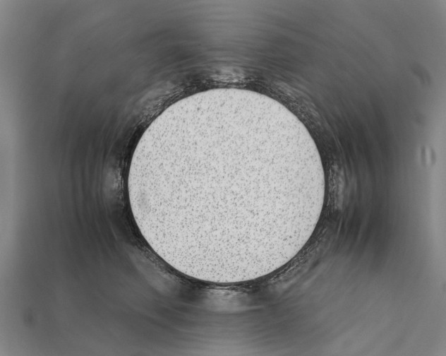 X0000111920614200909071219