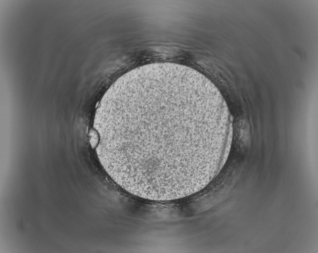 X0000111920615200909071219