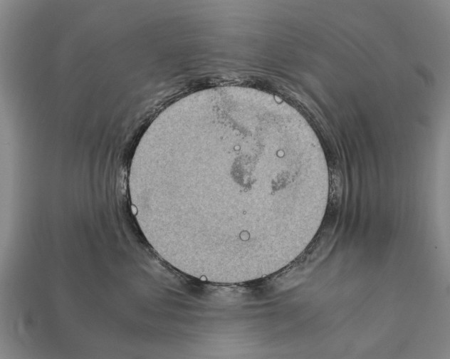 X0000111920621200909071219