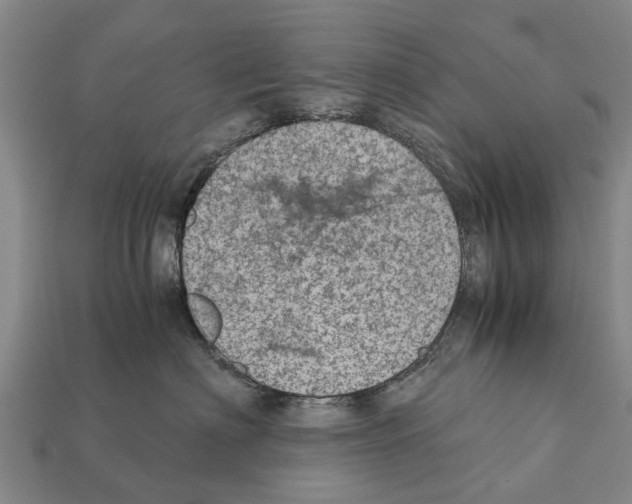 X0000111920622200909071219