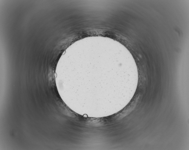 X0000111920624200909071219