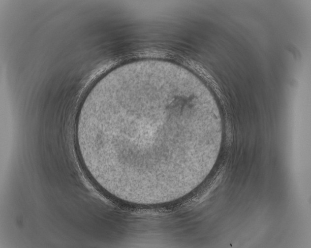 X0000111920625200909071218