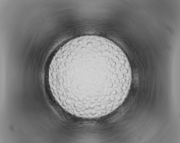 X0000111920626200909071218