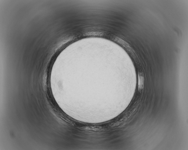 X0000111920627200909071218