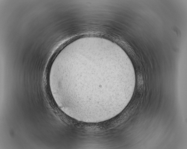 X0000111920628200909071218