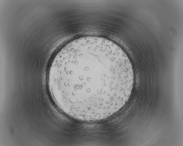 X0000111920629200909071218