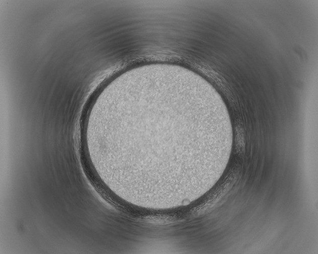 X0000111920630200909071218