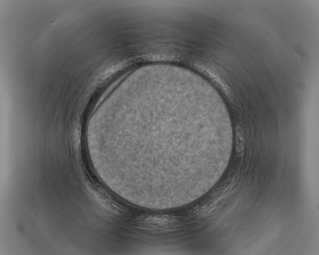 X0000111920631200909071218