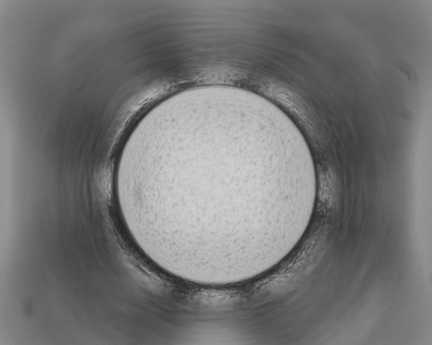 X0000111920632200909071218