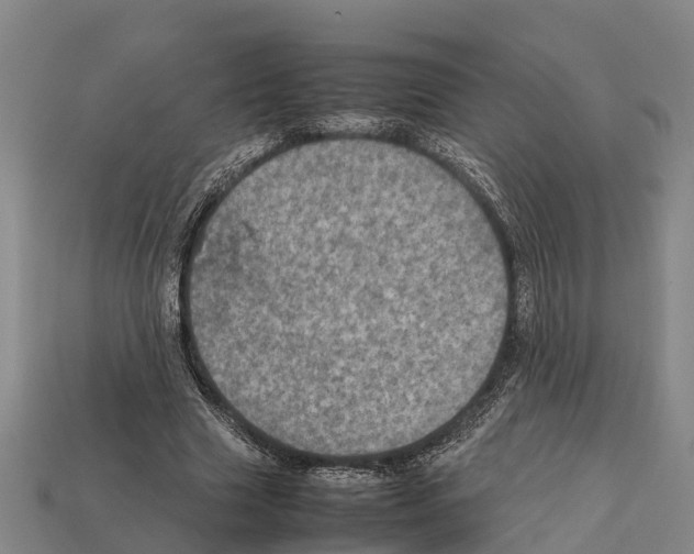 X0000111920633200909071218