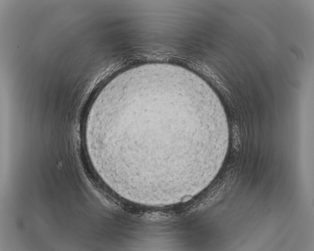 X0000111920634200909071218