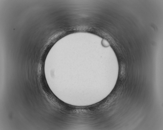 X0000111920636200909071218