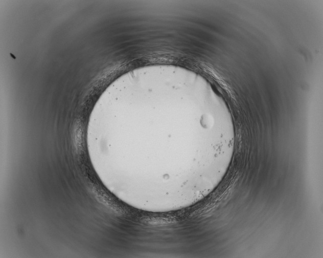 X0000111920637200909071218