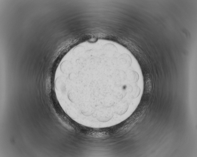 X0000111920638200909071218