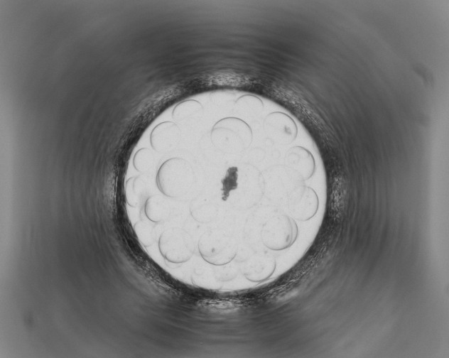 X0000111920639200909071218