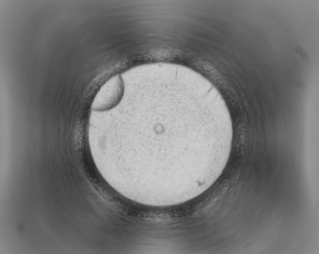 X0000111920640200909071218