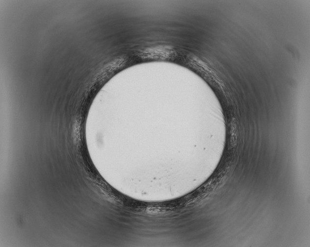 X0000111920641200909071218