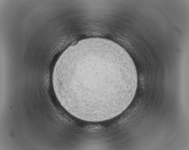 X0000111920642200909071218