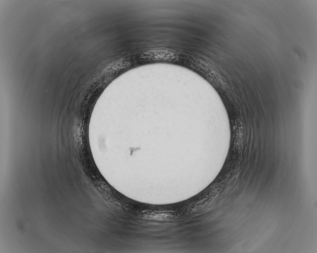 X0000111920643200909071218