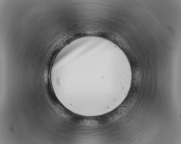 X0000111920644200909071218