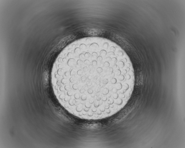 X0000111920646200909071218