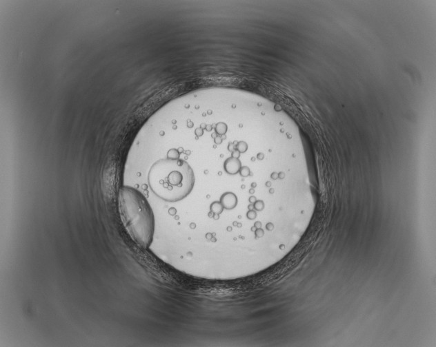 X0000111920647200909071218