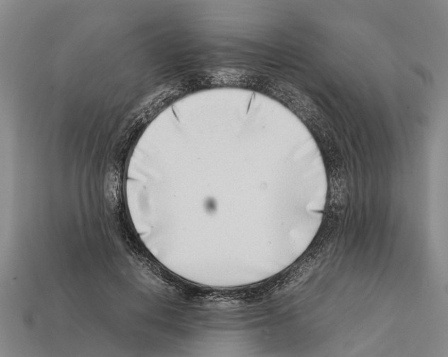 X0000111920648200909071218