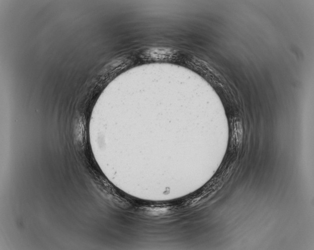 X0000111920651200909071218