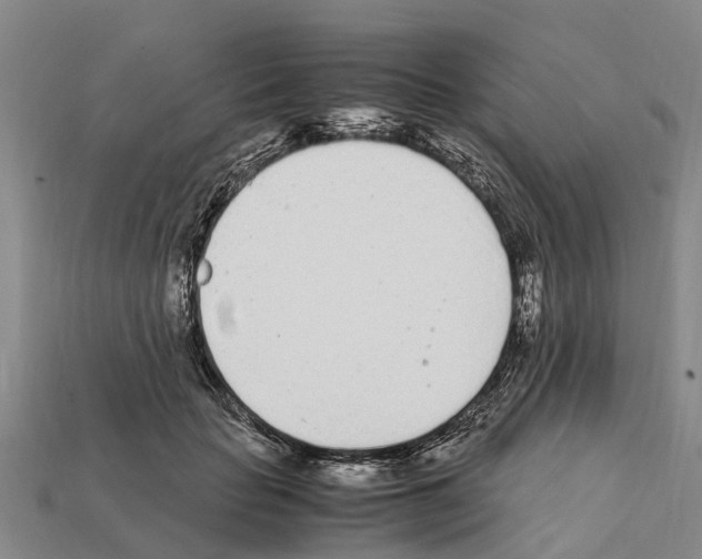 X0000111920653200909071218