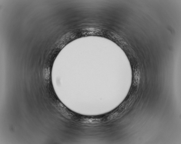 X0000111920657200909071218