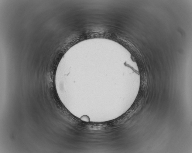 X0000111920661200909071218