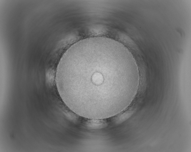 X0000111920672200909071219