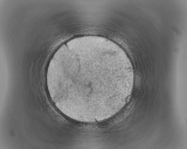 X0000111920673200909071218