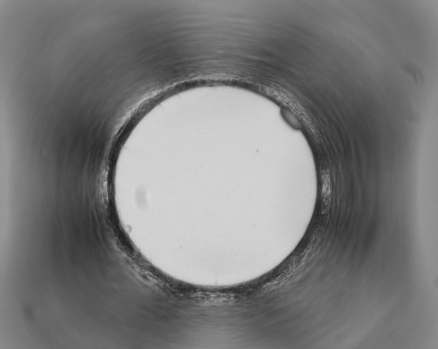 X0000111920676200909071218