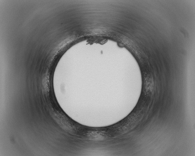 X0000111920680200909071218