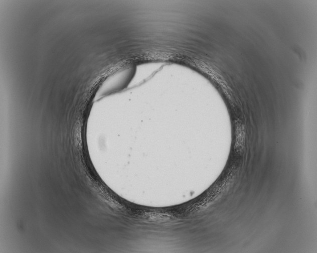 X0000111920681200909071218