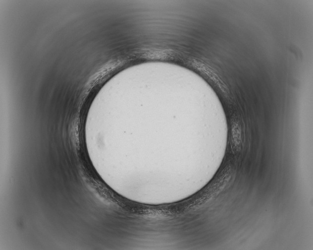 X0000111920682200909071218