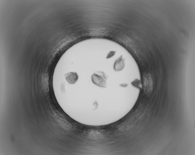 X0000111920684200909071218