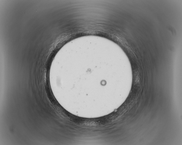 X0000111920685200909071218