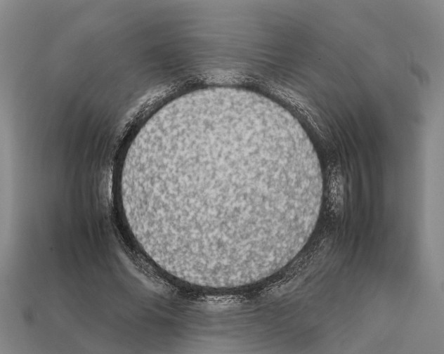 X0000111920686200909071218