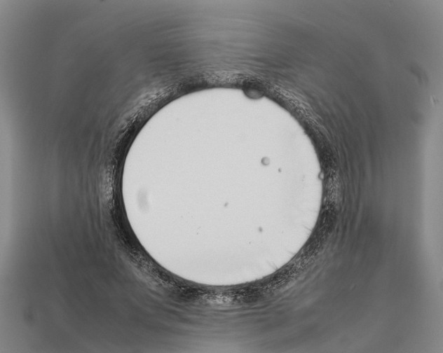 X0000111920687200909071218