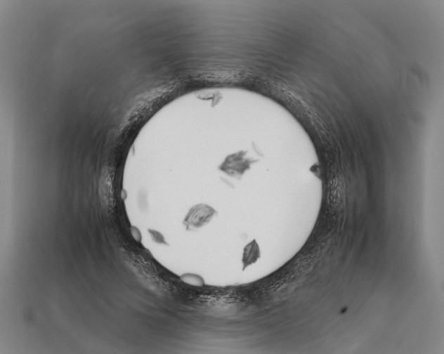 X0000111920688200909071218