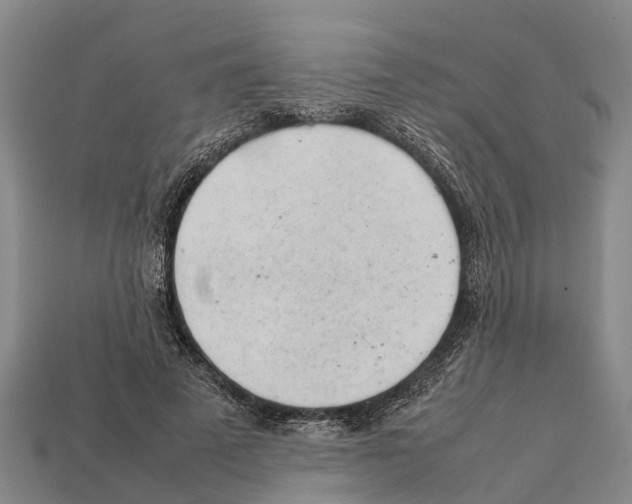 X0000111920689200909071218