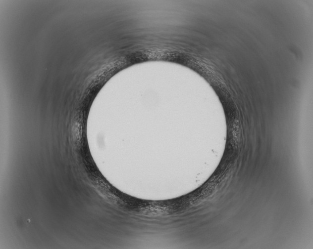 X0000111920691200909071218