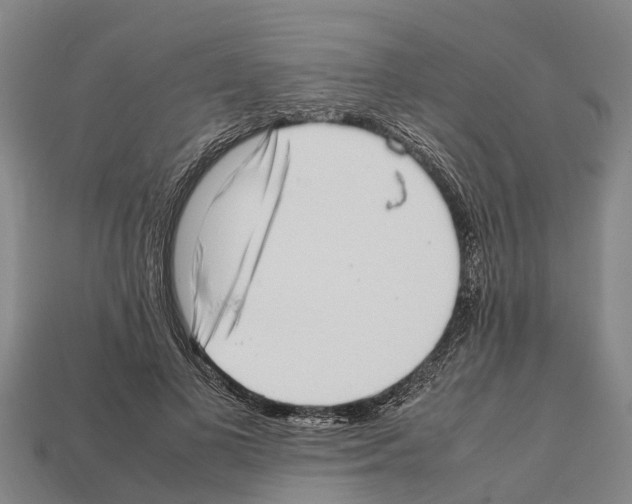 X0000111920693200909071218