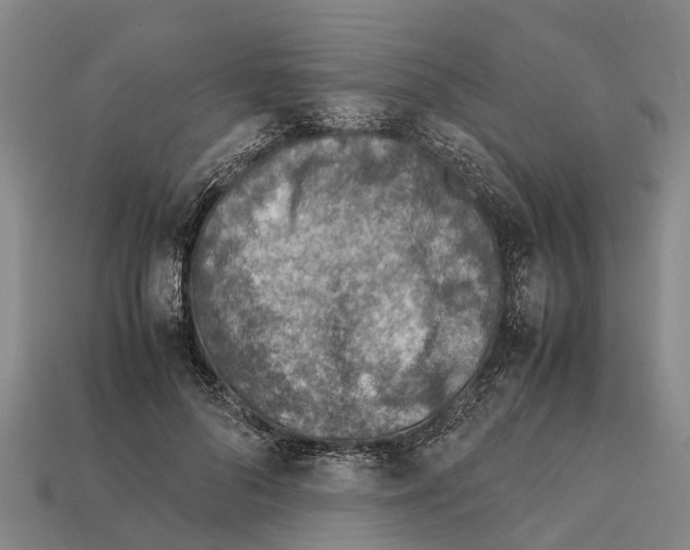 X0000111920696200909071218