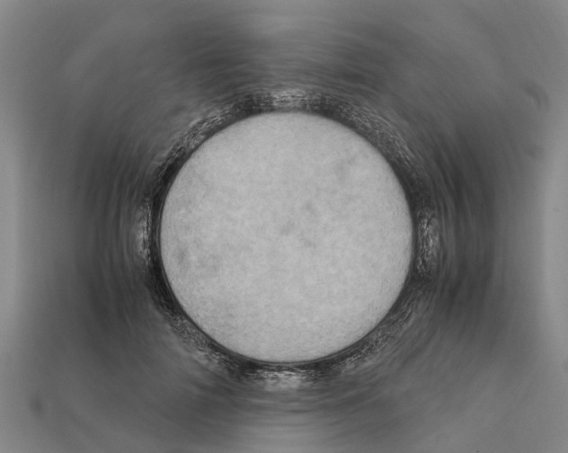 X0000111920698200909071218