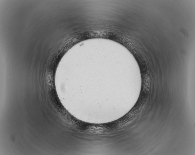 X0000111920699200909071218